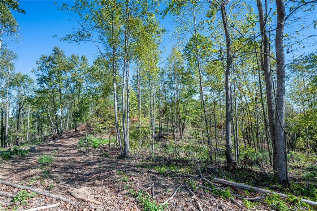 3883 Hwy 140 Ne Rydal Ga 30171 Northeast Rydal, GA 30171 - Photo 8 of 11