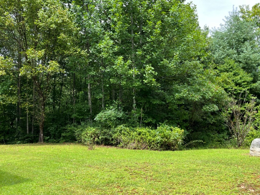 647 Sneed Branch Road Murphy, NC 28906 - Photo 8 of 38 Gallery Image 8
