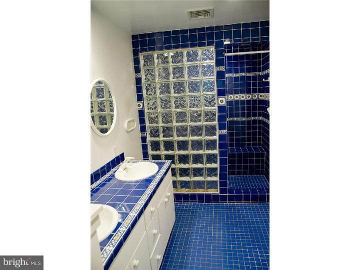 370 North Malin Road Broomall, PA 19073 - Photo 11 of 21 Master Bathroom