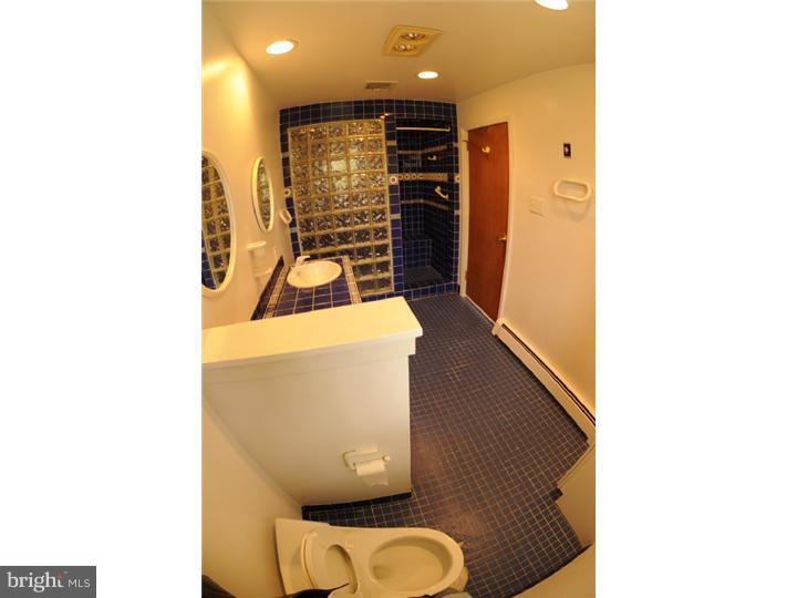 370 North Malin Road Broomall, PA 19073 - Photo 10 of 21 Master Bathroom