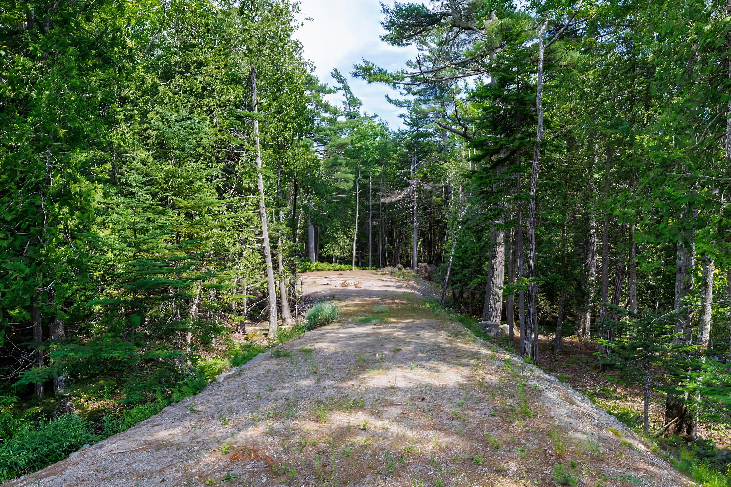Lot 4 Echo Wds Road Mount Desert, ME 04660 - Photo 16 of 18 driveway