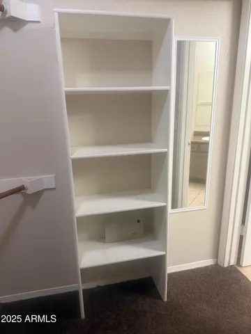 a view of an empty walk in closet