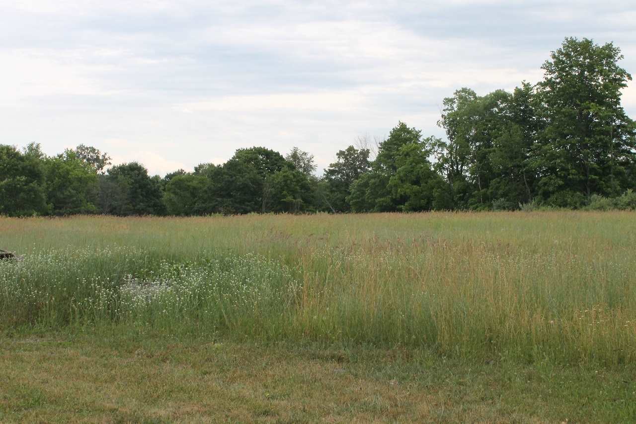 7304 Skegemog Point Road Williamsburg, MI 49690 - Photo 18 of 23 1819864-17.JPG