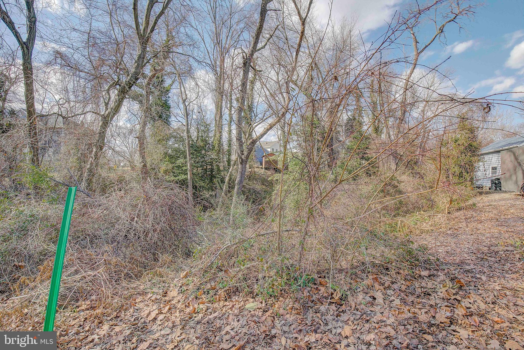 1251 Hillside Road Pasadena, MD 21122 - Photo 34 of 35 Lot 3 - permit for clearing trees & shrubs