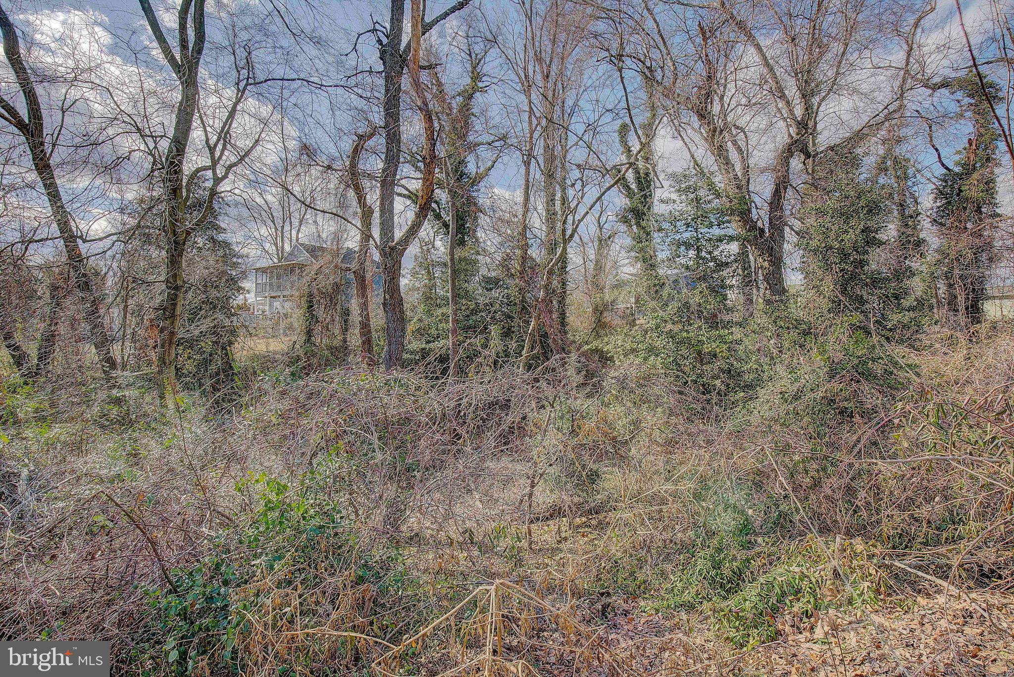 1251 Hillside Road Pasadena, MD 21122 - Photo 35 of 35 Lot 3 view