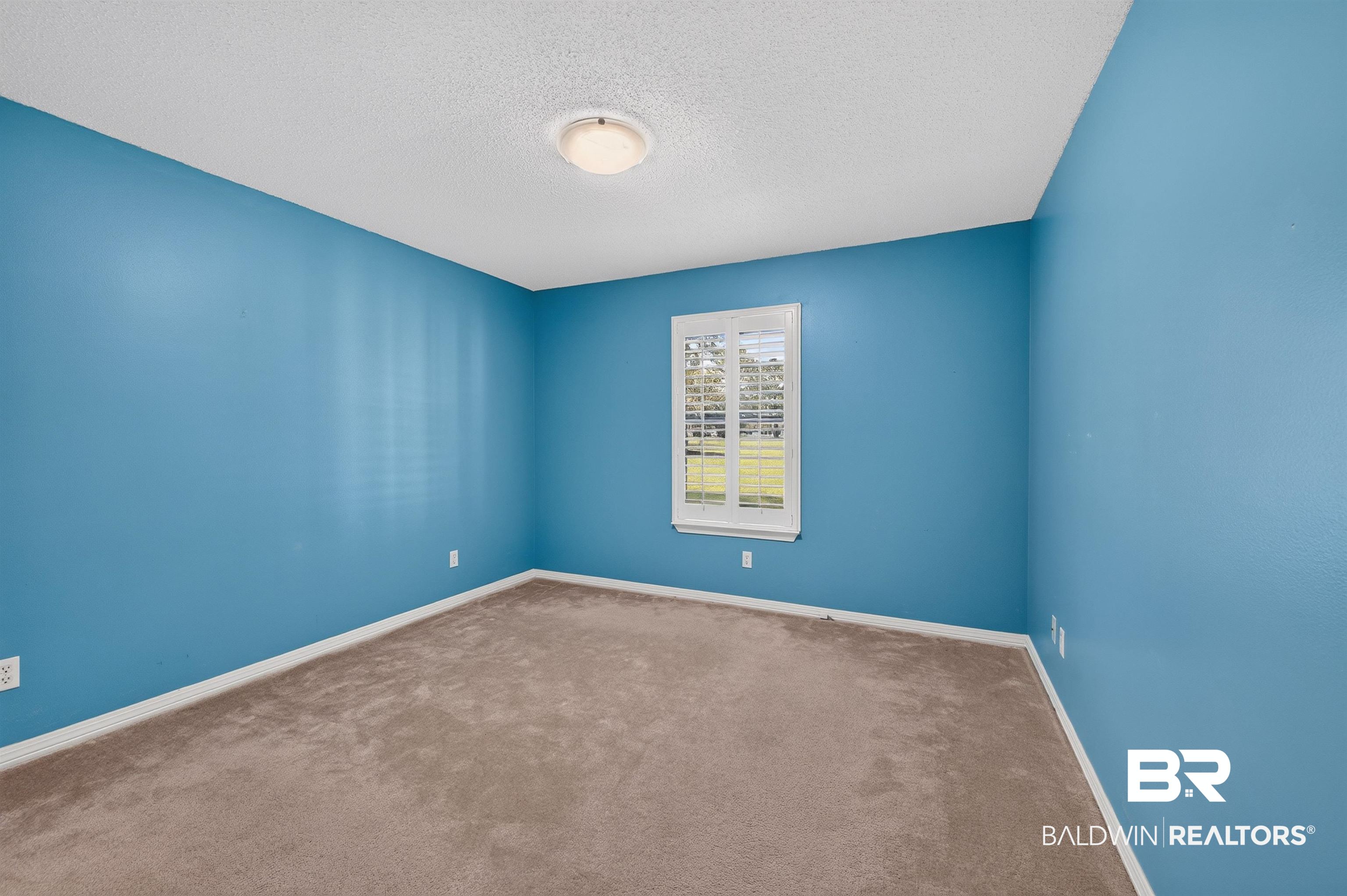22685 County Road 12 Foley, AL 36535 - Photo 68 of 89 Interior room featuring neutral carpeting, a white baseboard, a window with louvered shutters, and an overhead flush-mount light fixture