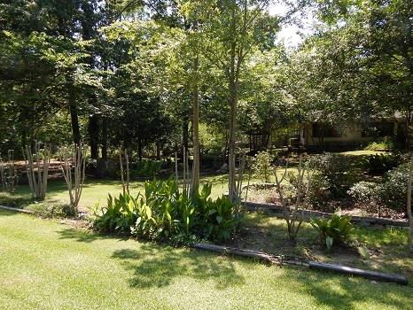 1209 Andries Street Many, LA 71449 - Photo 9 of 17 Gallery Image 9
