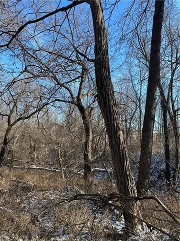 $165,100 | 255 Road Helena Mo 64459, Helena, MO 64459