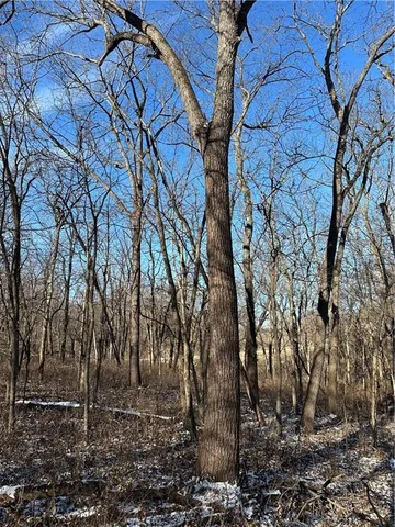 $165,100 | 255 Road Helena Mo 64459, Helena, MO 64459