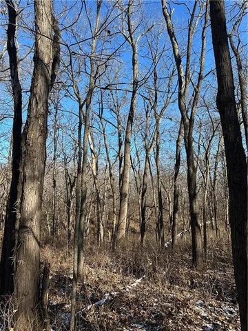 $165,100 | 255 Road Helena Mo 64459, Helena, MO 64459