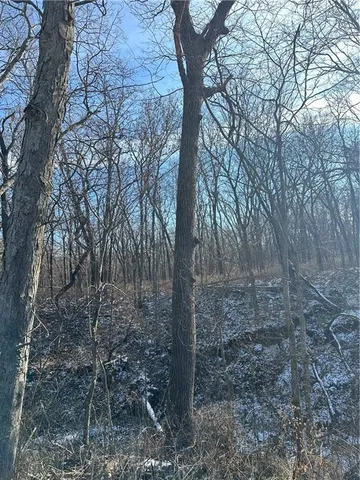 $165,100 | 255 Road Helena Mo 64459, Helena, MO 64459