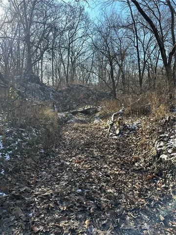 $165,100 | 255 Road Helena Mo 64459, Helena, MO 64459