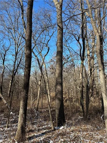 $165,100 | 255 Road Helena Mo 64459, Helena, MO 64459