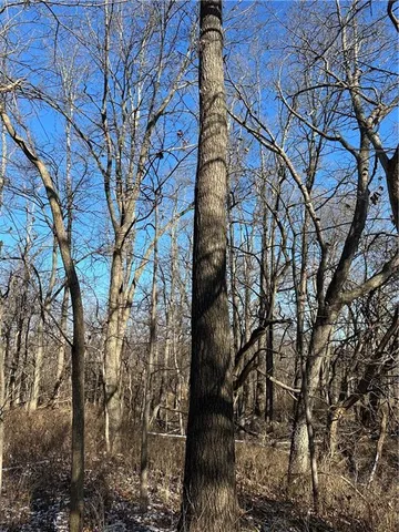 $165,100 | 255 Road Helena Mo 64459, Helena, MO 64459