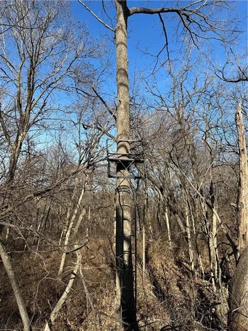 $165,100 | 255 Road Helena Mo 64459, Helena, MO 64459