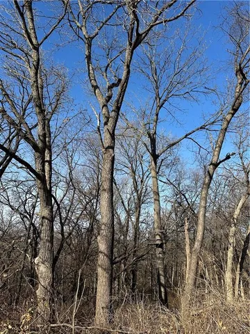 $165,100 | 255 Road Helena Mo 64459, Helena, MO 64459