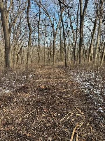 $165,100 | 255 Road Helena Mo 64459, Helena, MO 64459