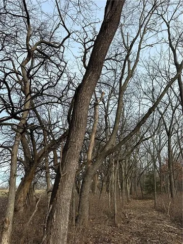 $165,100 | 255 Road Helena Mo 64459, Helena, MO 64459