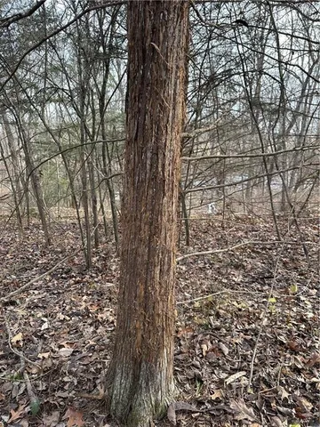 $165,100 | 255 Road Helena Mo 64459, Helena, MO 64459