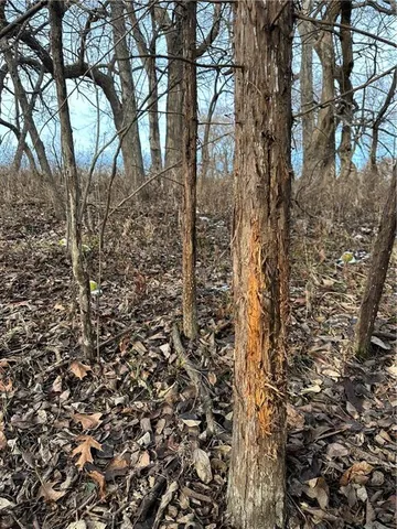 $165,100 | 255 Road Helena Mo 64459, Helena, MO 64459