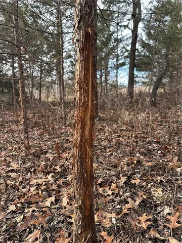 $165,100 | 255 Road Helena Mo 64459, Helena, MO 64459