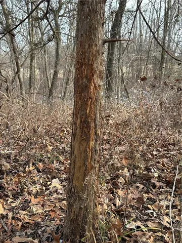 $165,100 | 255 Road Helena Mo 64459, Helena, MO 64459