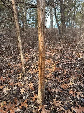 $165,100 | 255 Road Helena Mo 64459, Helena, MO 64459