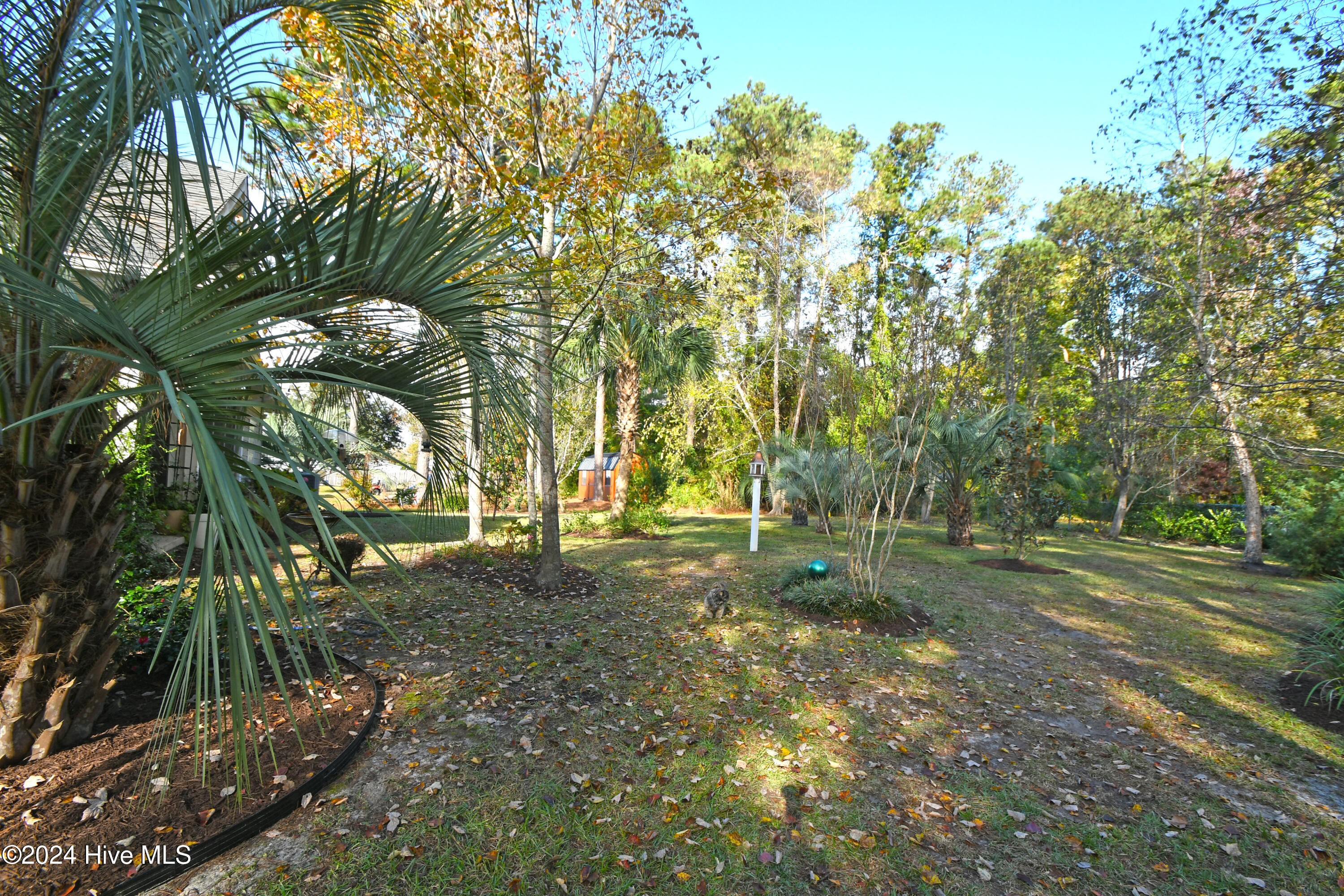 156 Calabash Road Northwest Calabash, NC 28467 - Photo 32 of 37 Trees Galore