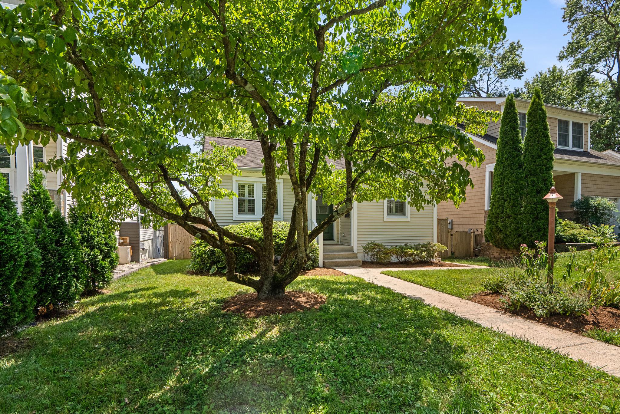 513 Park Road Rockville, MD 20850 - Photo 3 of 43 Charming Home with Mature Front Yard Trees