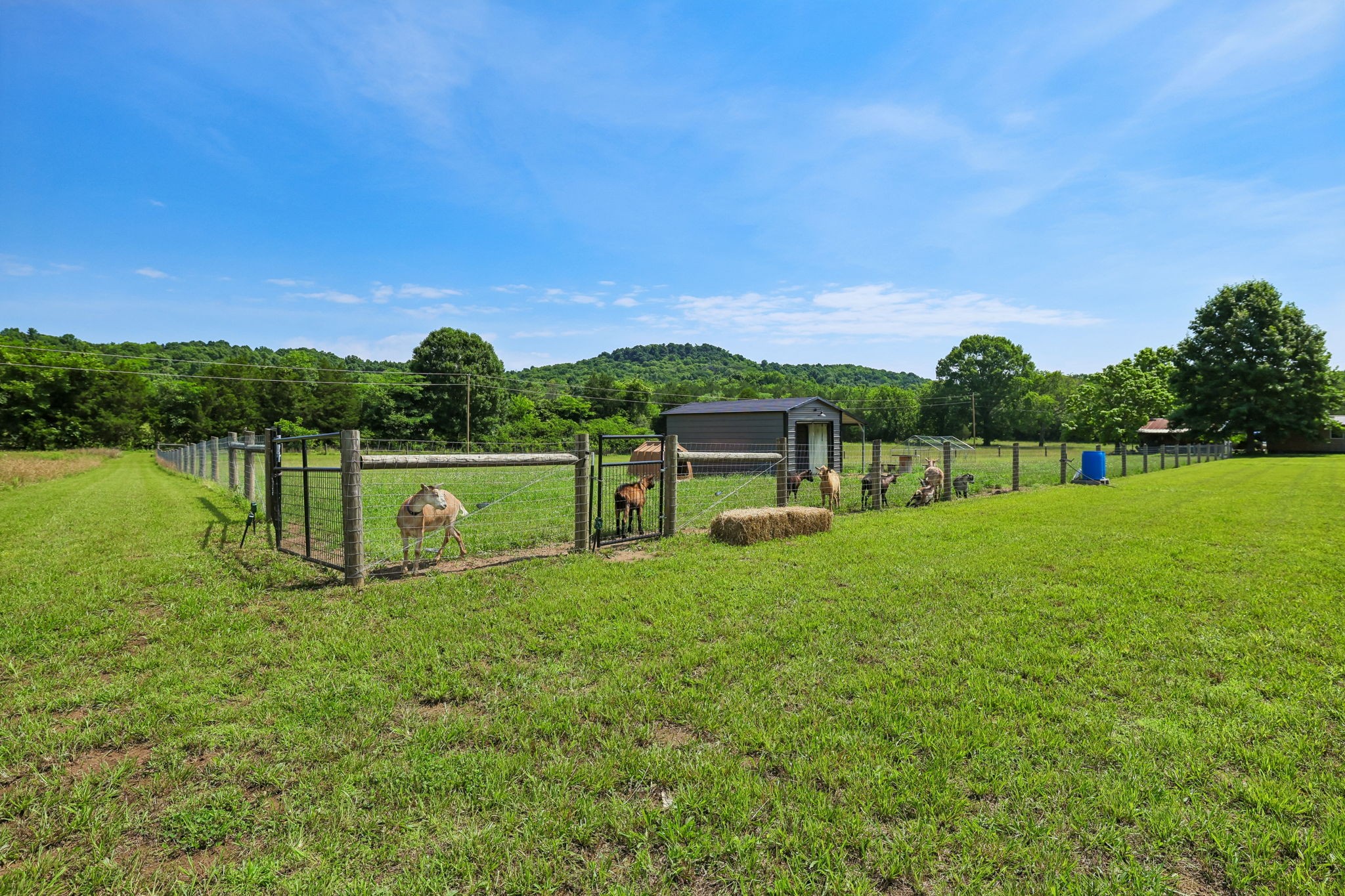 1040 Tate Road Petersburg, TN 37144 - Photo 89 of 99