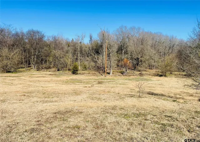 a big yard with trees in the background