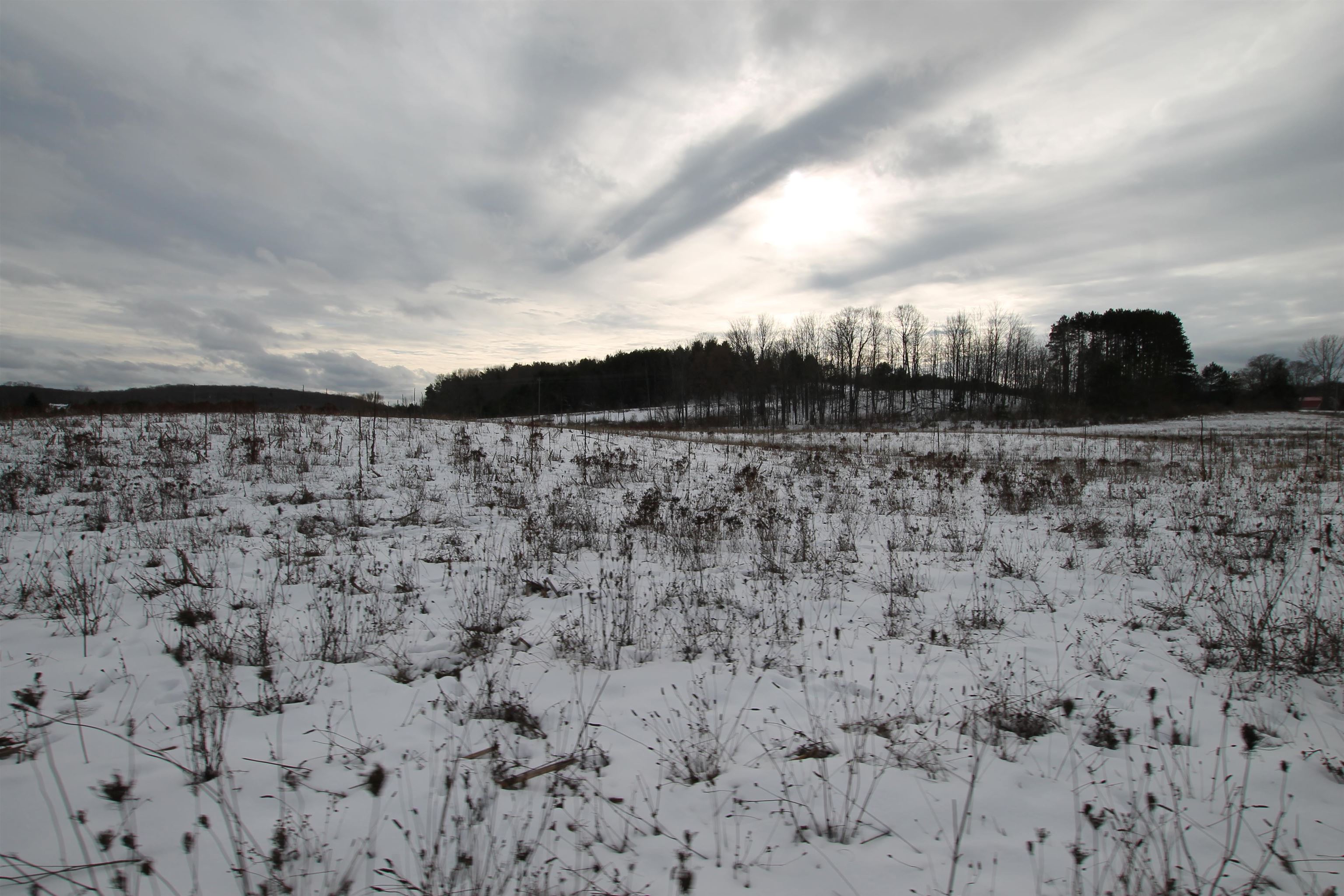 Tbd Tbd Atwood Road Ellsworth, MI 49729 - Photo 1 of 20