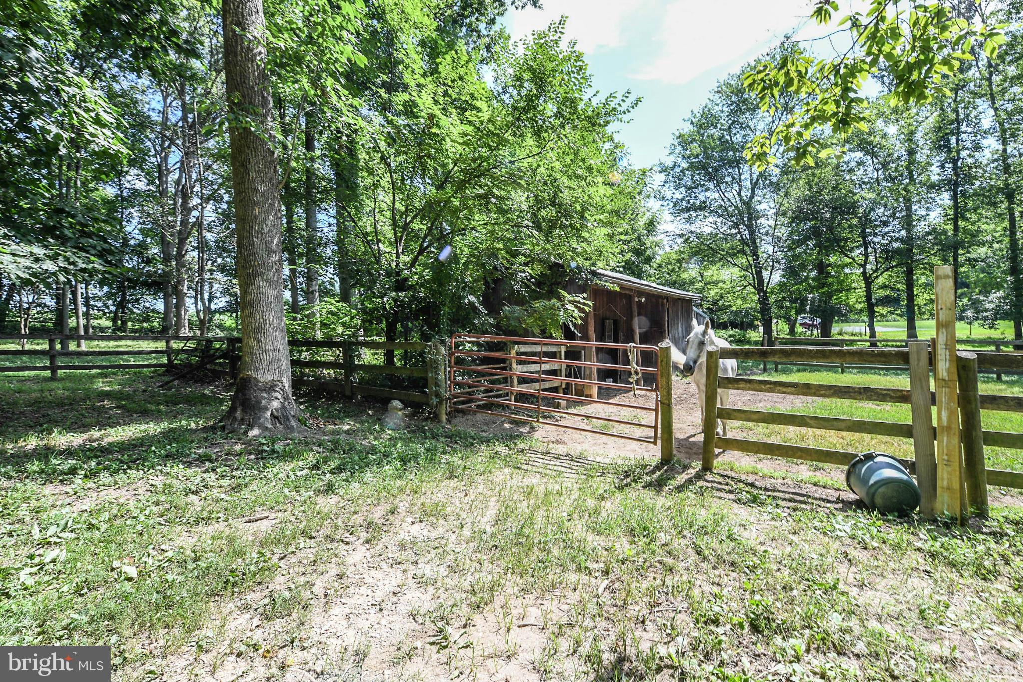 22205 Peach Tree Road Boyds, MD 20841 - Photo 17 of 18 Exterior (Rear)