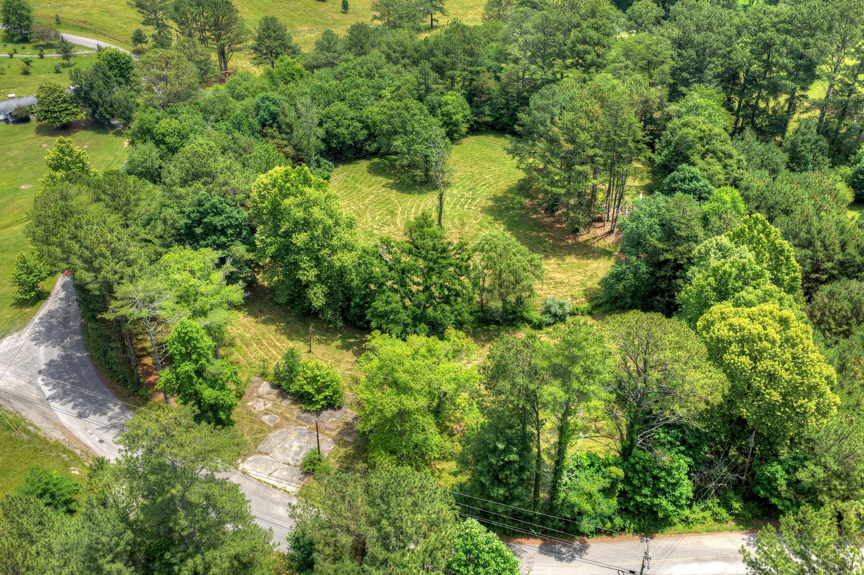526 Airport Road Copperhill, TN 37317 - Photo 14 of 28 Airport Rd Byrd Property (13)