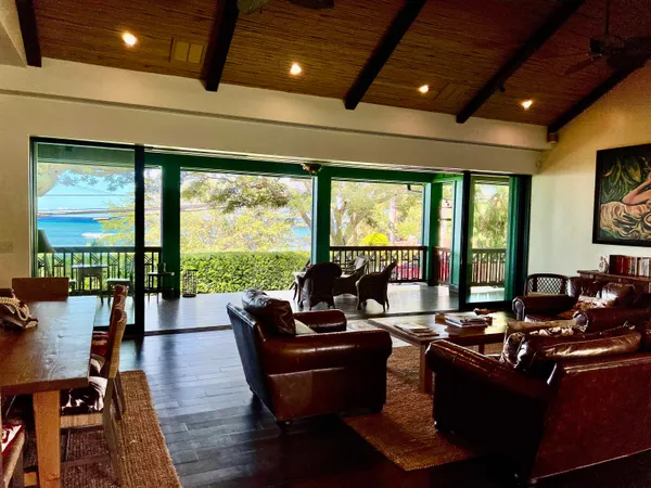 a view of a yard with plants and large trees