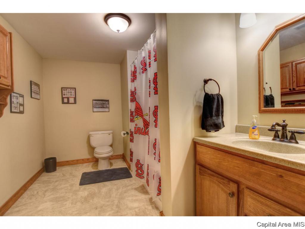 6981 Mansion Road Chatham, IL 62629 - Photo 21 of 31
