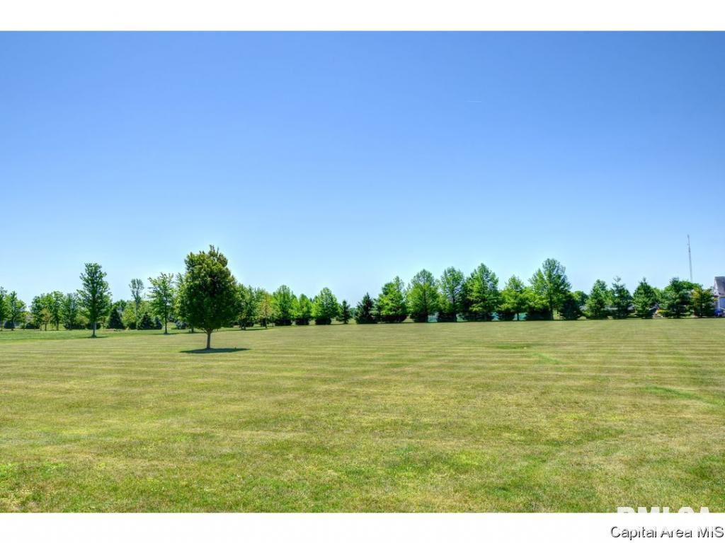 6981 Mansion Road Chatham, IL 62629 - Photo 29 of 31