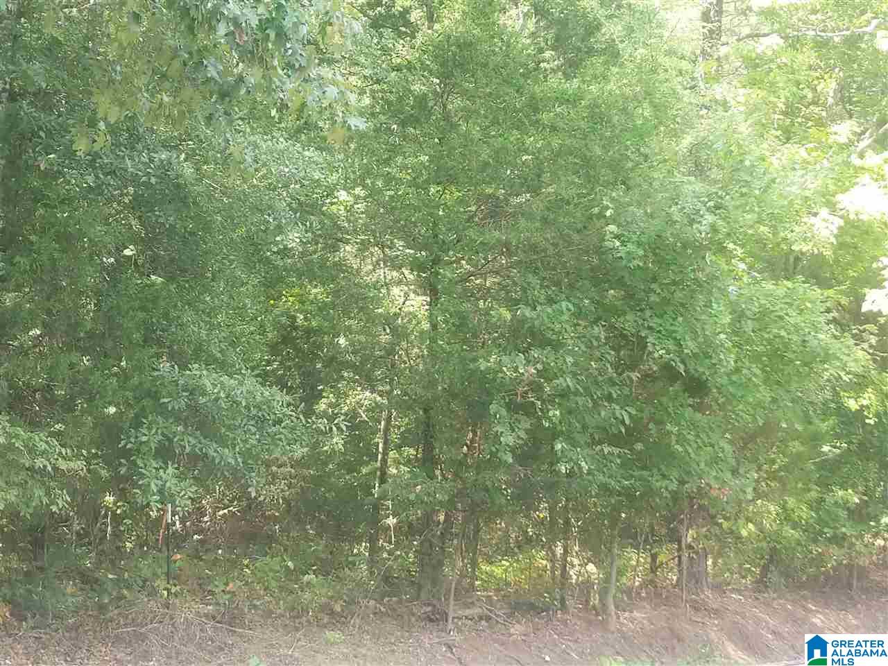 0 Old Broadwell Mill Road Jacksonville, AL 36265 - Photo 6 of 22