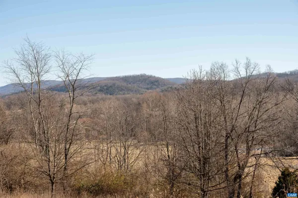 a view of a dry yard