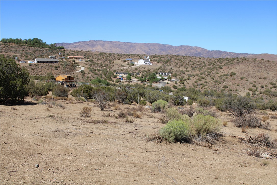 4570 Hubbard Road Acton, CA 93510 - Photo 4 of 11 a view of a dry yard with mountains in the background