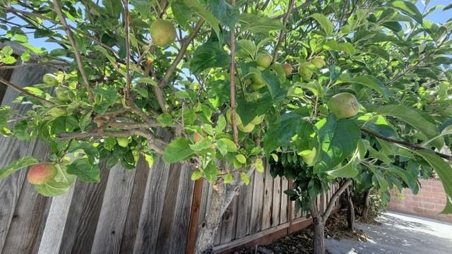 14234 Tiburon Road San Leandro, CA 94577 - Photo 34 of 36