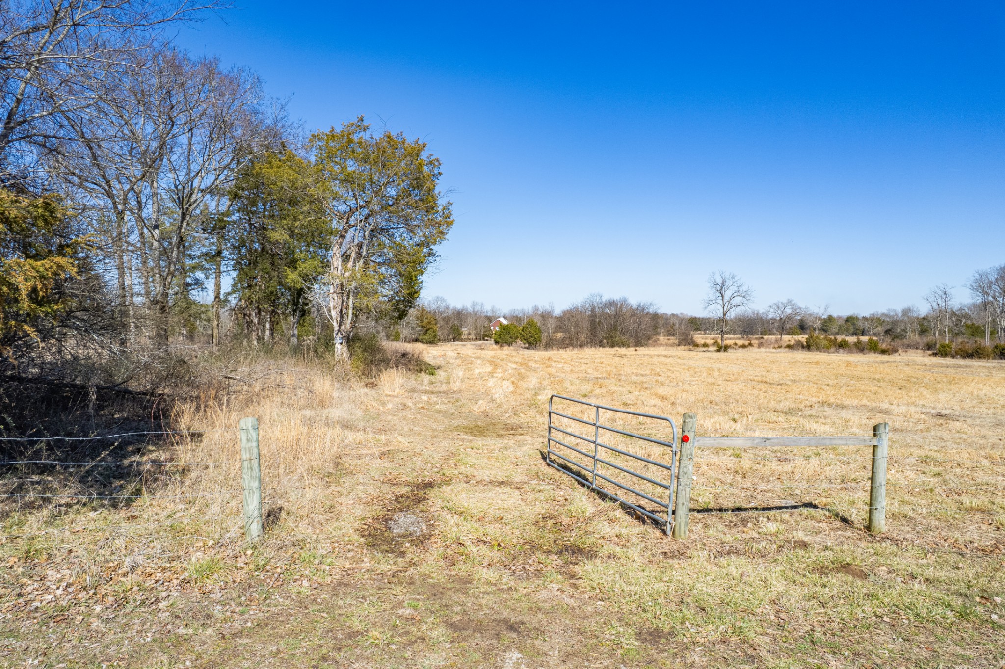 0 Word Road Lewisburg, TN 37091 - Photo 16 of 32