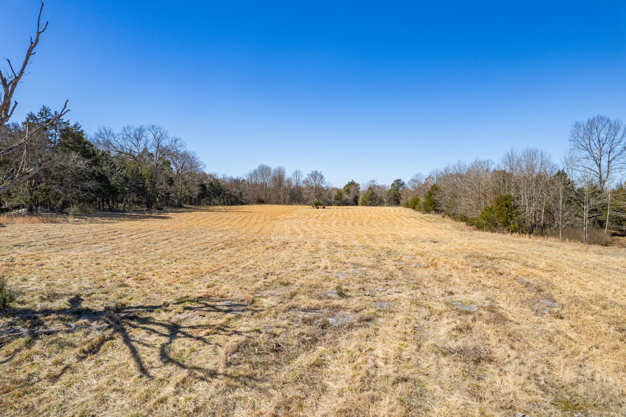 0 Word Road Lewisburg, TN 37091 - Photo 20 of 32