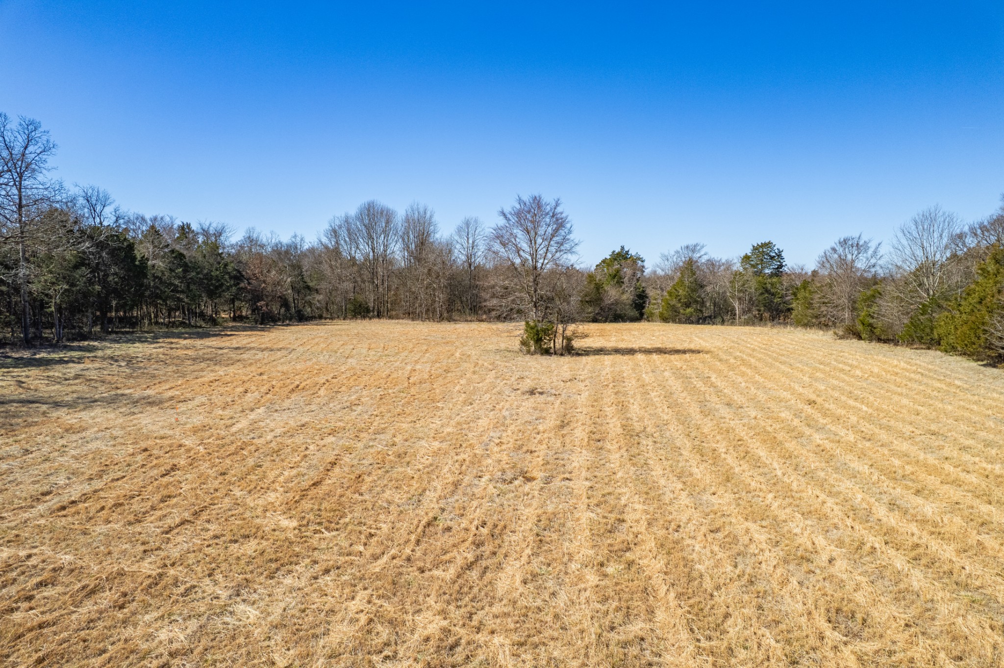 0 Word Road Lewisburg, TN 37091 - Photo 25 of 32