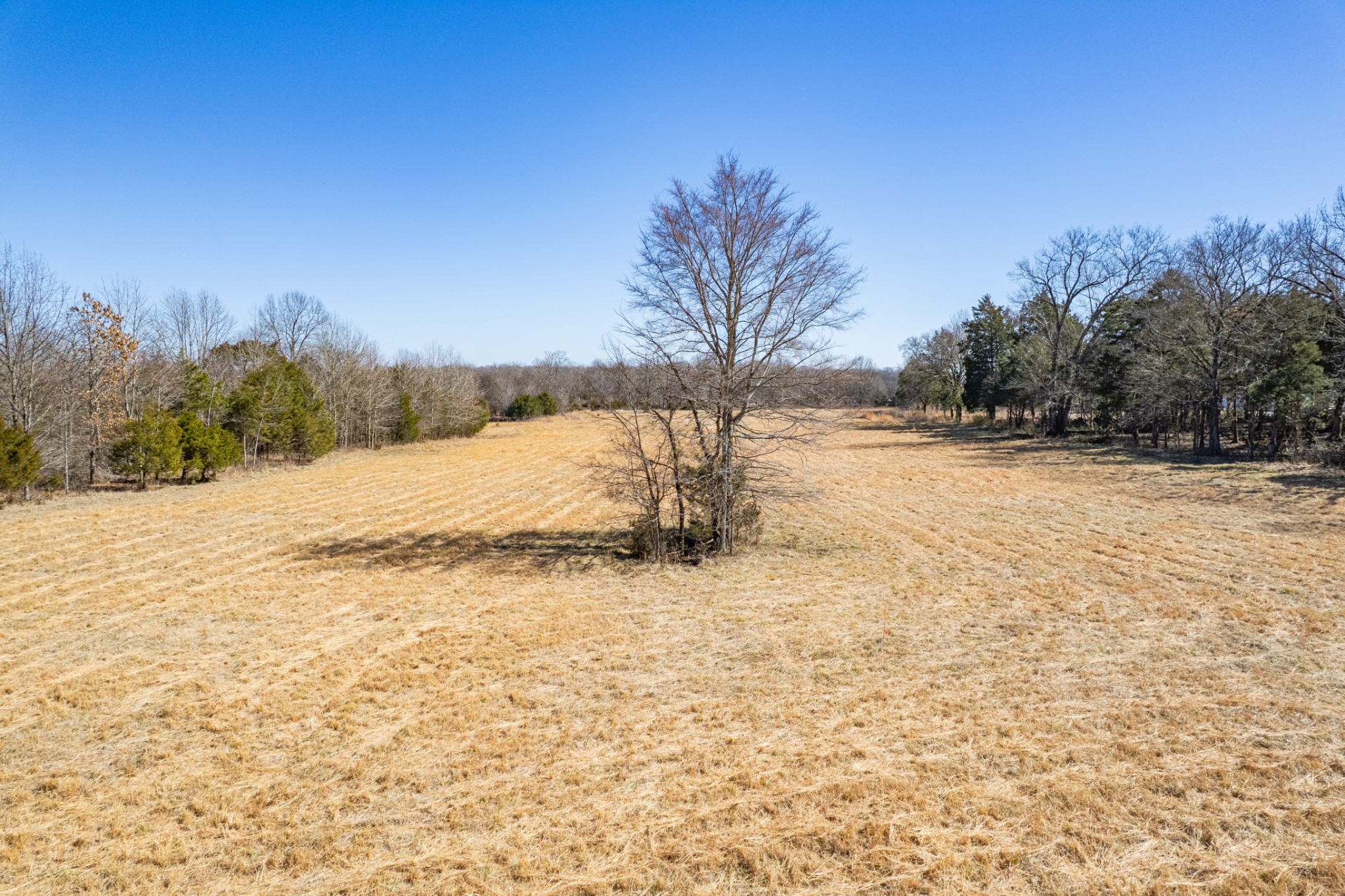 0 Word Road Lewisburg, TN 37091 - Photo 27 of 32
