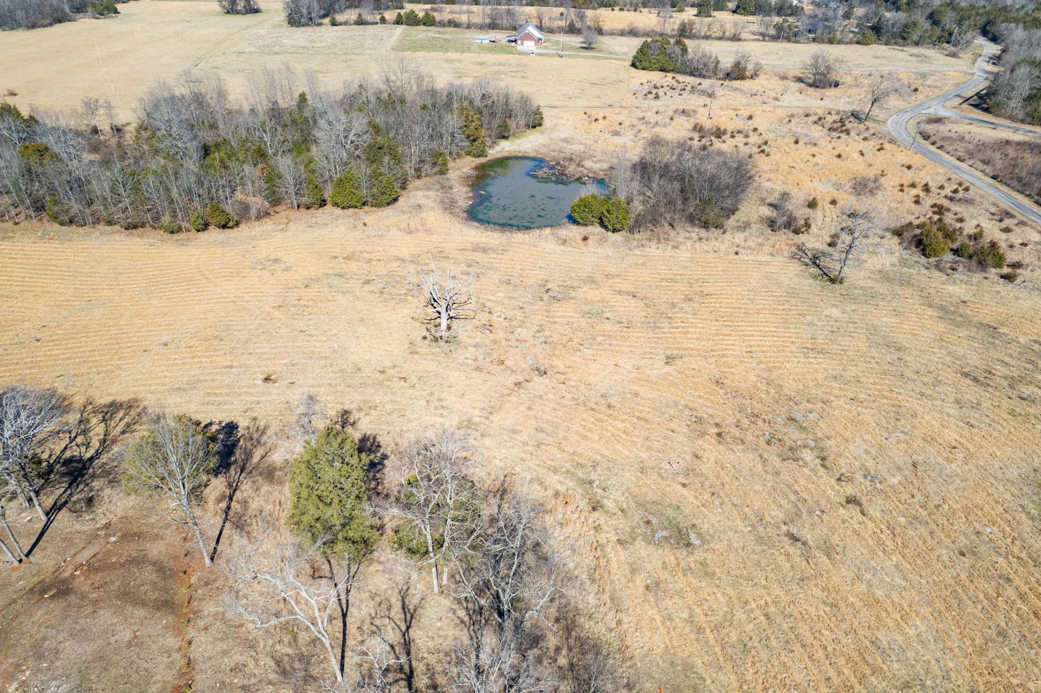 0 Word Road Lewisburg, TN 37091 - Photo 7 of 32