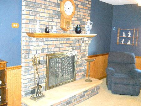 2941 East Brunswick Road Beecher, IL 60401 - Photo 10 of 25