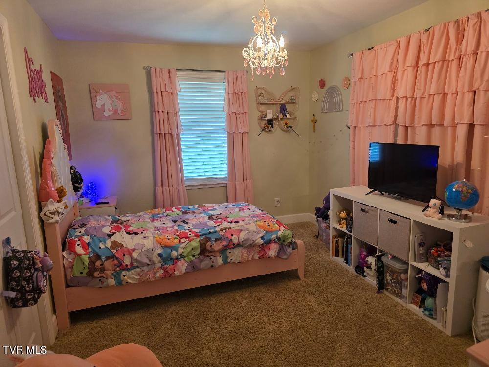 214 Elliott Avenue Erwin, TN 37650 - Photo 13 of 20 elliott br 2