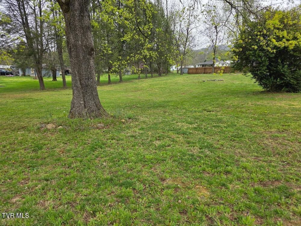 214 Elliott Avenue Erwin, TN 37650 - Photo 18 of 20 Elliott lot