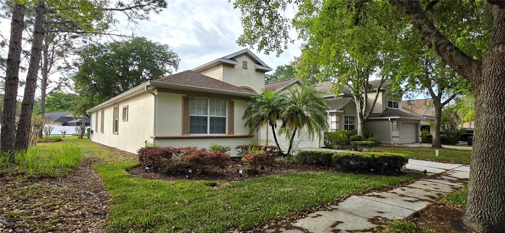10906 Tree Cactus Loop Land O Lakes, FL 34638 - Photo 2 of 62 a view of a house with a yard and potted plants